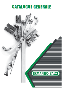 Catalogue général Ermanno Balzi